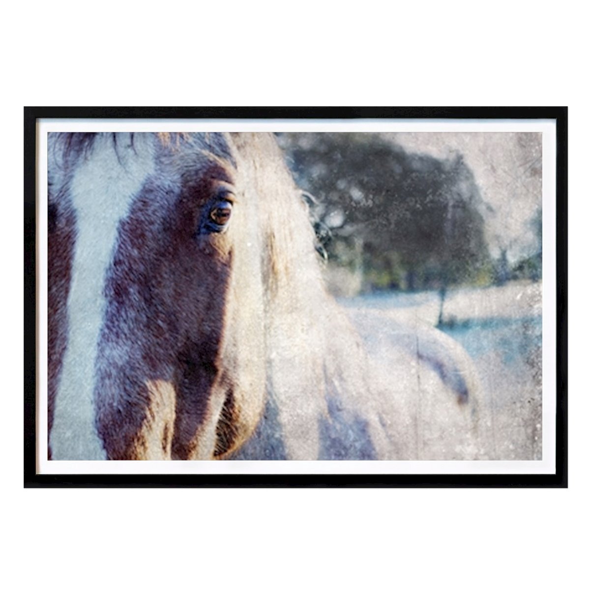 Places & Cities Poster: Rustic Horse Beauty by Gemma Bardot