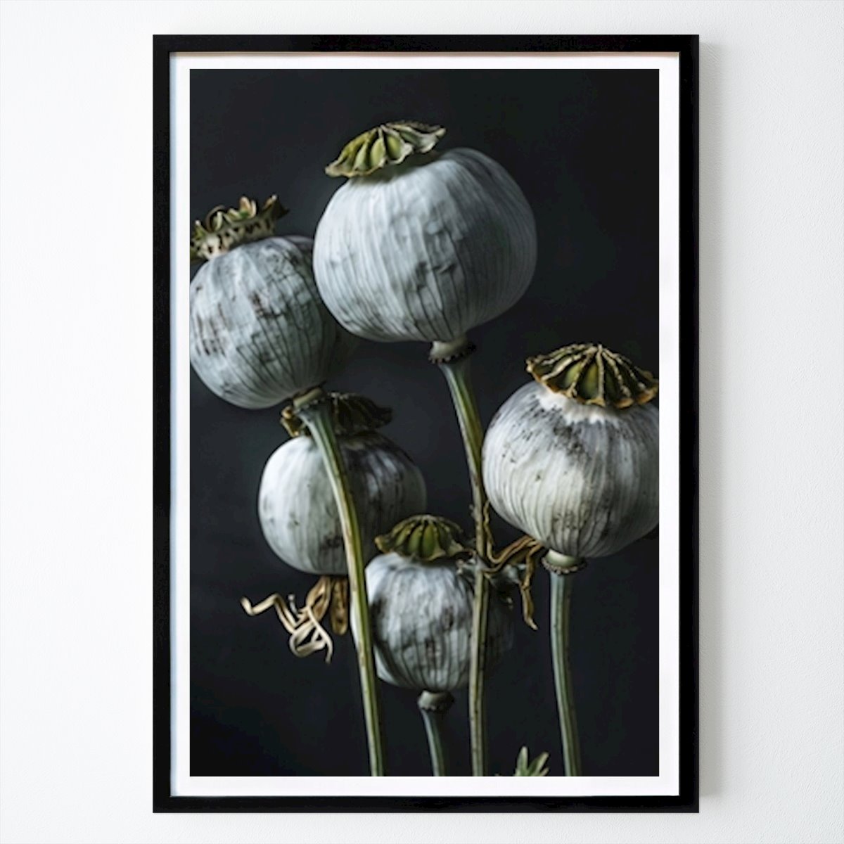Botaniske Plakat: Valmuefrø 1 av Bilge Paksoylu
