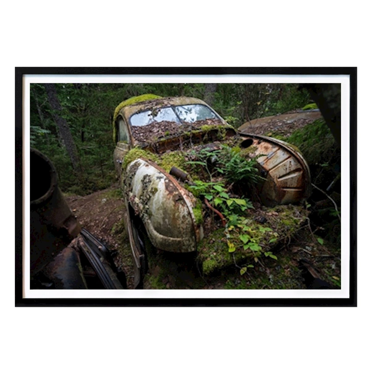 Natur Plakat: Drivhus av Patrik Edberg