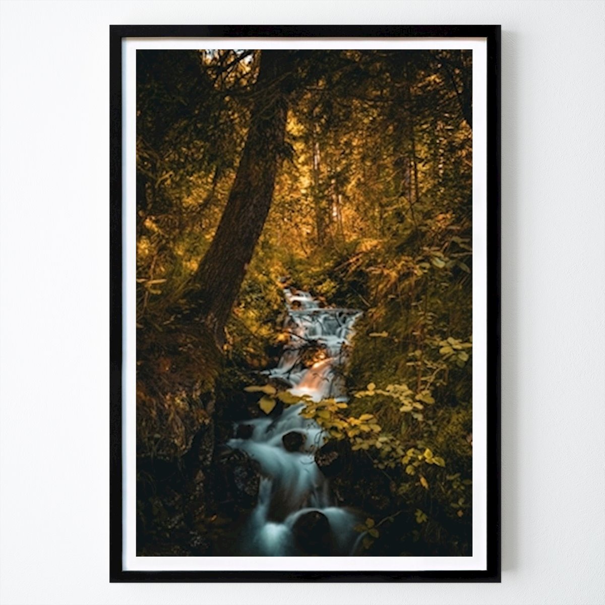 Hobby Poster: A stream in the forest by Lukas Nößler