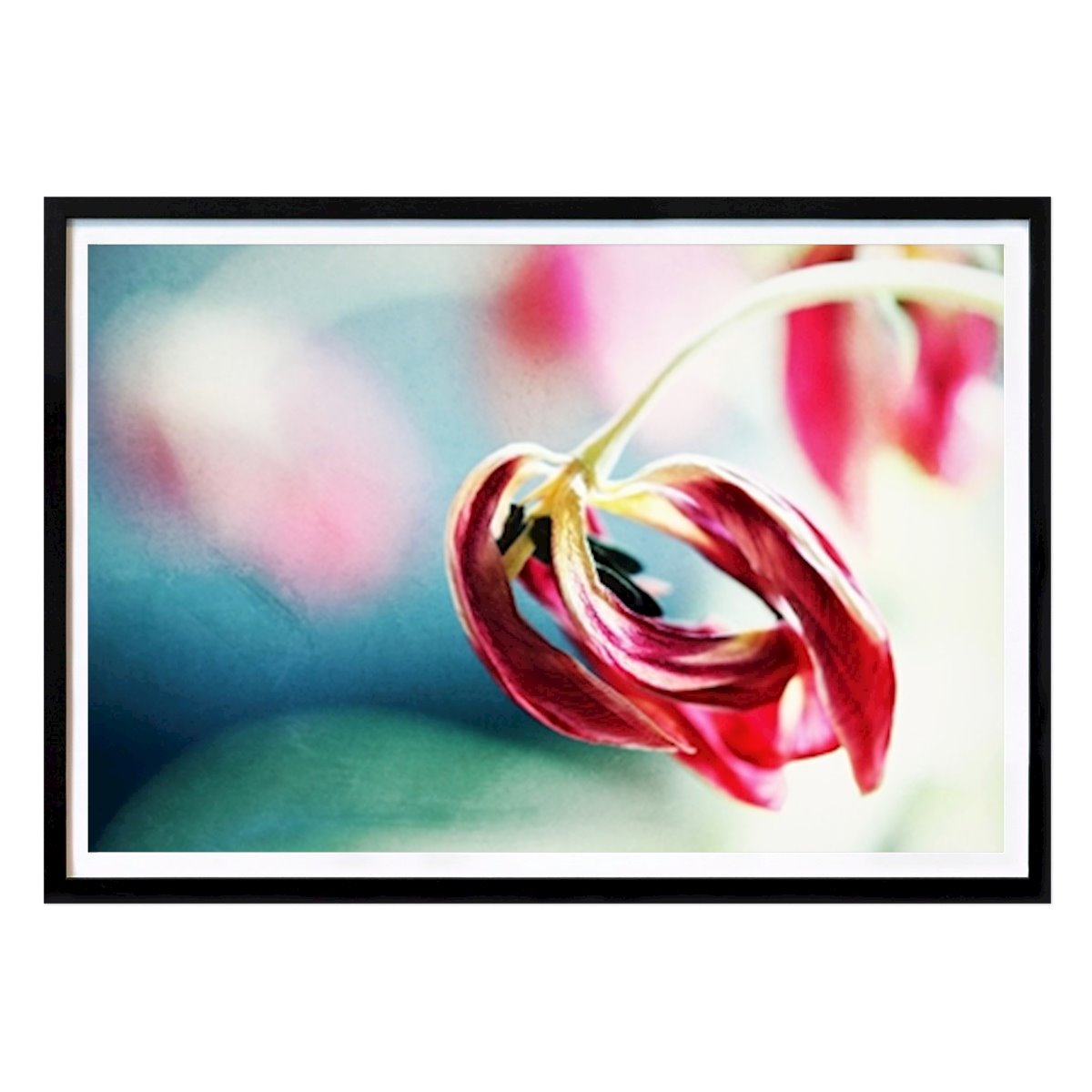 Nature Poster: Bygone by Manuela Deigert
