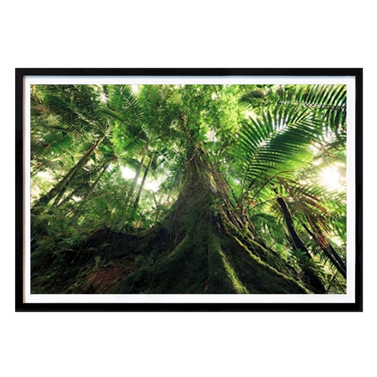 Natuur Poster: Groene luifel van Stefan Hefele