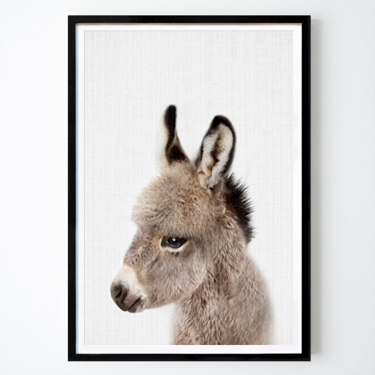 Niños Póster: Suave mirada de burro de Lola Peacock