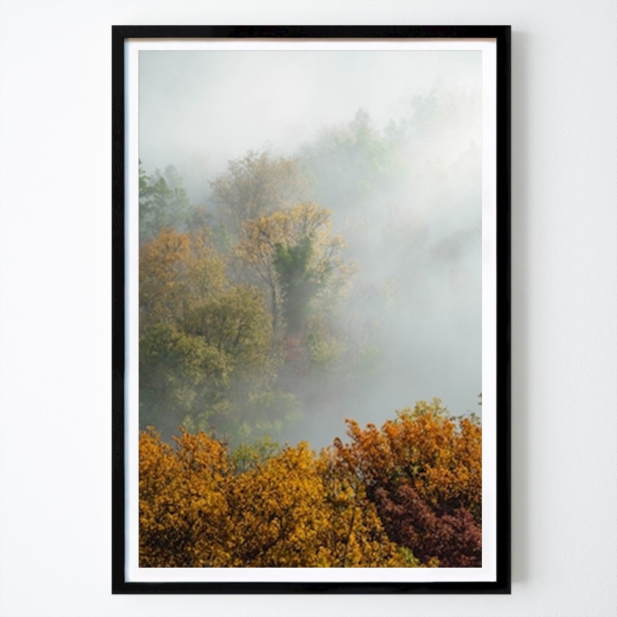 Villes & Pays Affiche: Bois mystiques du matin par Josip Milićević