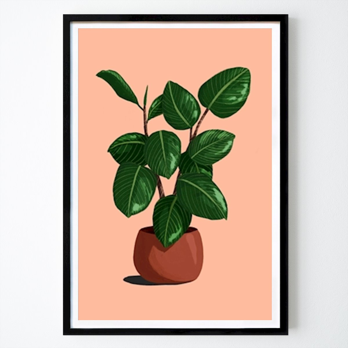 Blomster & Planter Plakat: Gummiplante av ByKammille