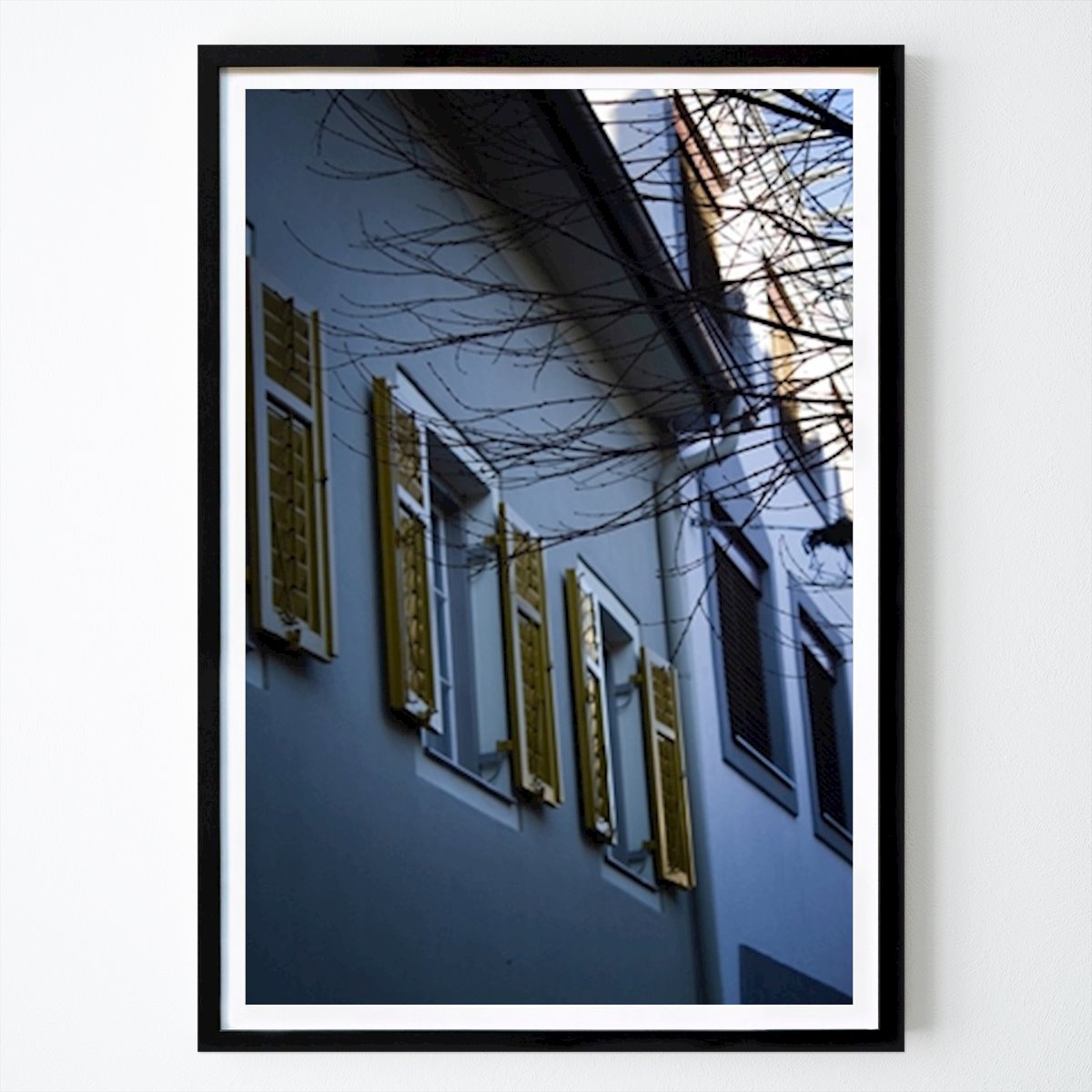 Blumen & Pflanzen Poster: Golden Frames in Winter's Gras von Annika John