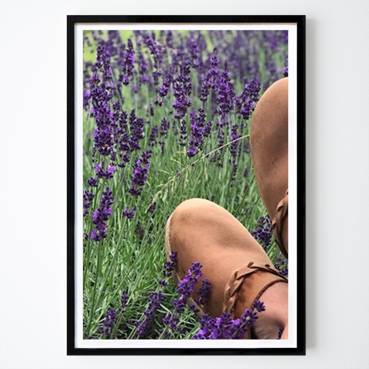 Nature Poster: Lavender meadow by Sica Jessica Nilsson