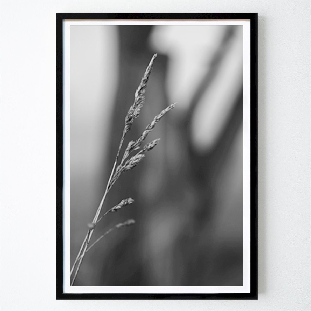 Schwarz-Weiß Poster: Nature - grass - black & white von Oliver