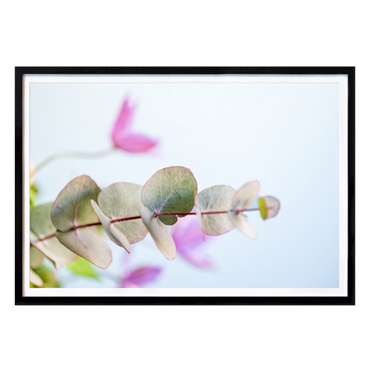 Botanical Poster: Eucalyptus by Kristina S