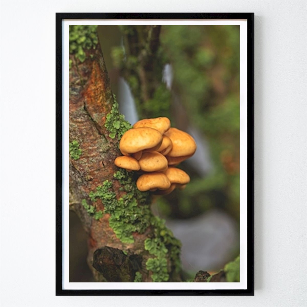 Blomster & Planter Plakat: Svampe i naturen av Oliver