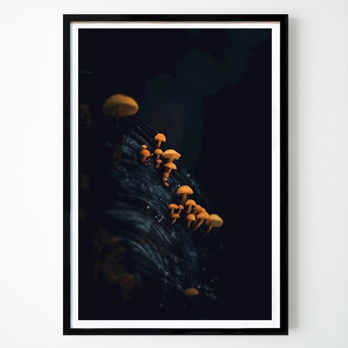 Natur Plakat: Sopp på en tømmerstokk av Jacob boström
