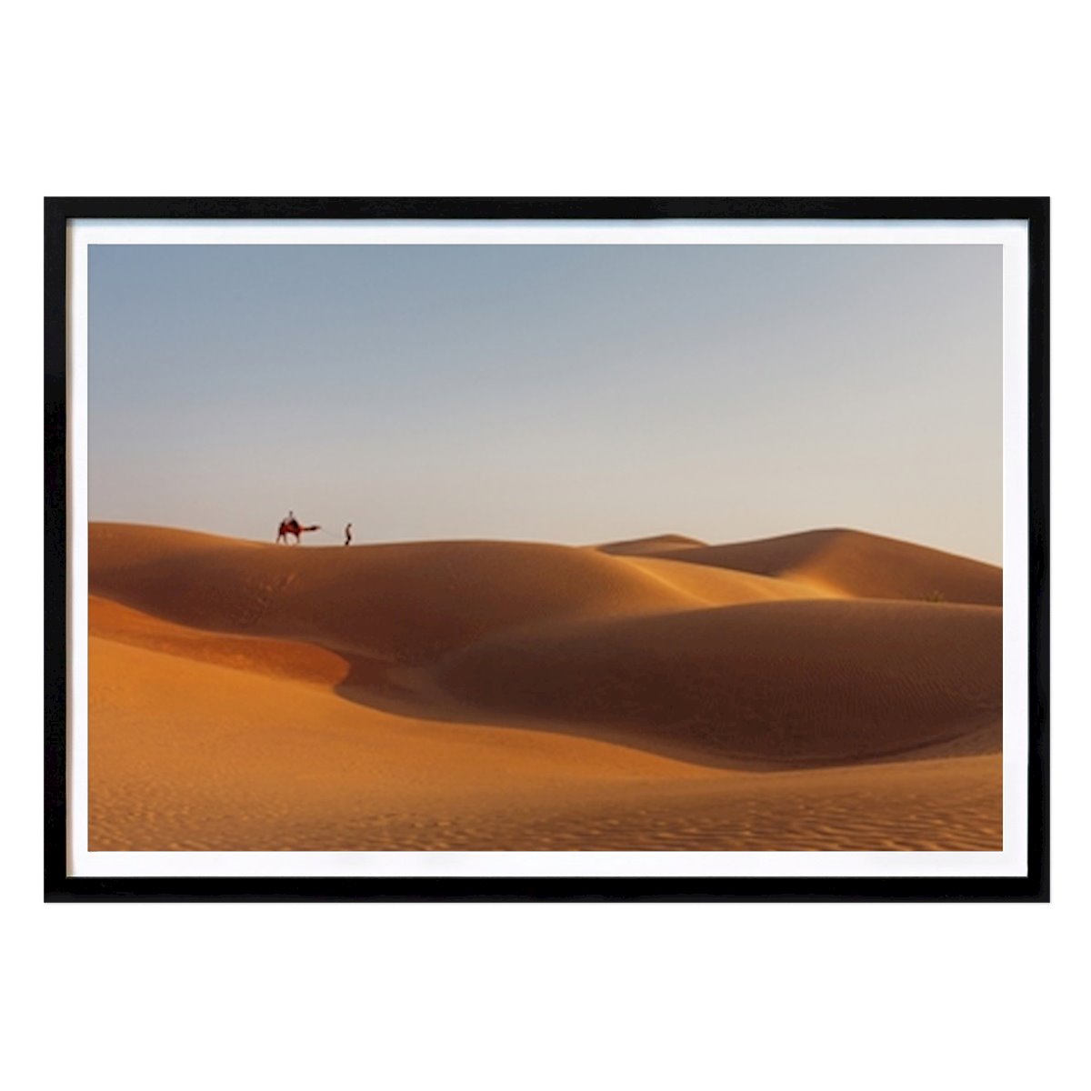 Hobby Poster: Desert ride by Alexandra Ruth Bergman