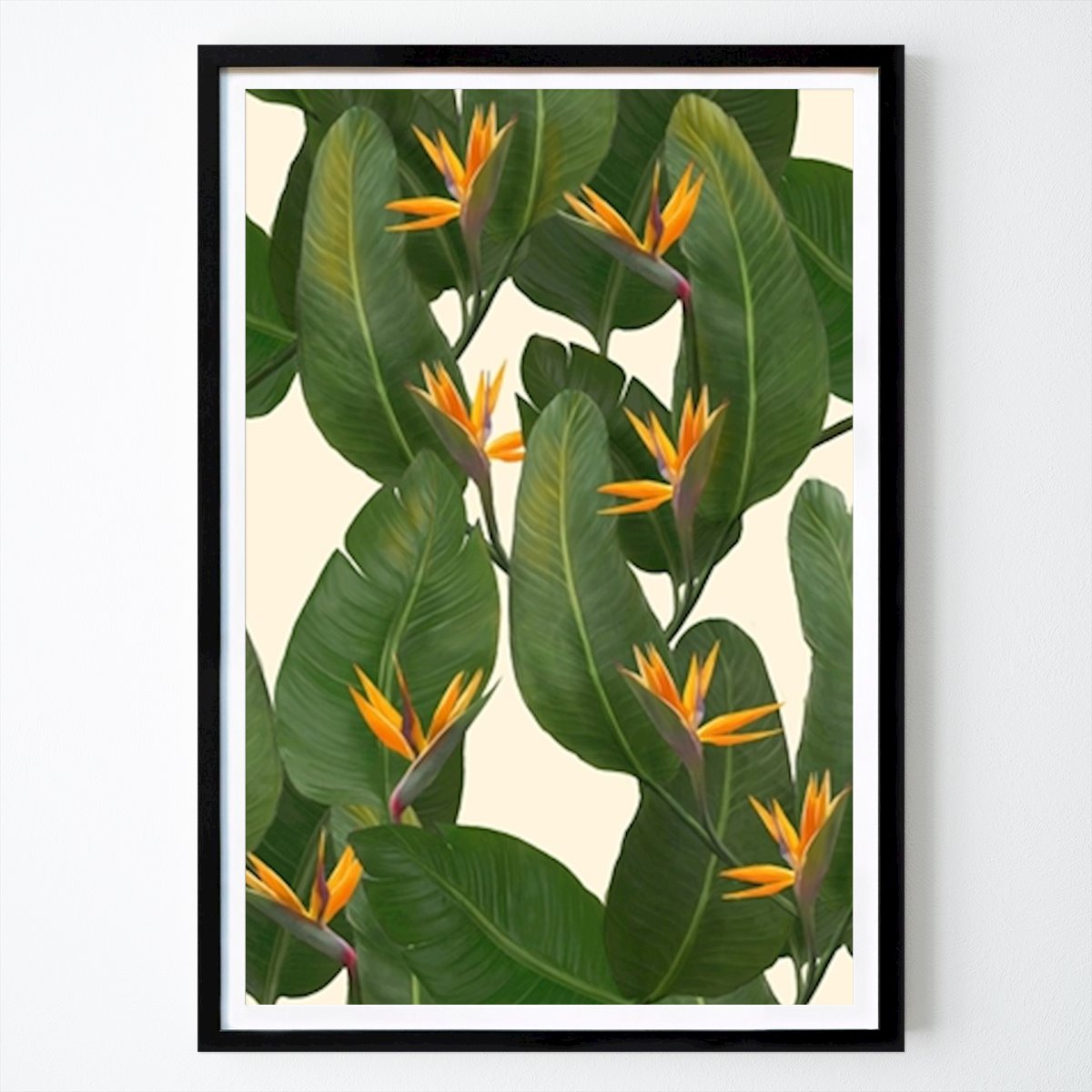 Dyr Plakat: Paradisets fugle botanisk pr av Laura Graves
