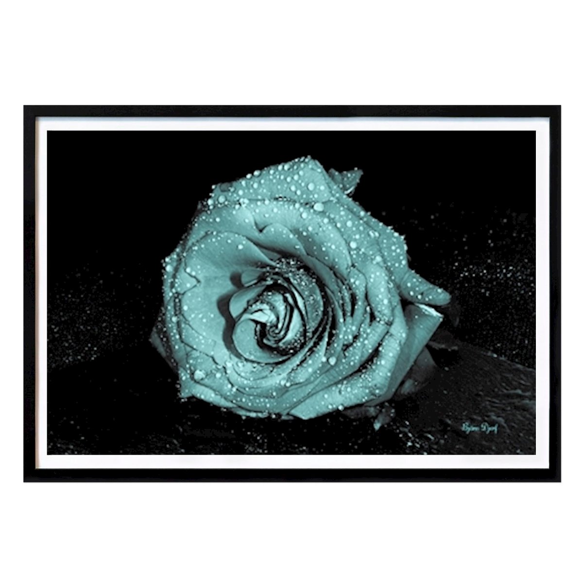Kukat & Kasvit Juliste: The only rose tekijänä Björn Djerf