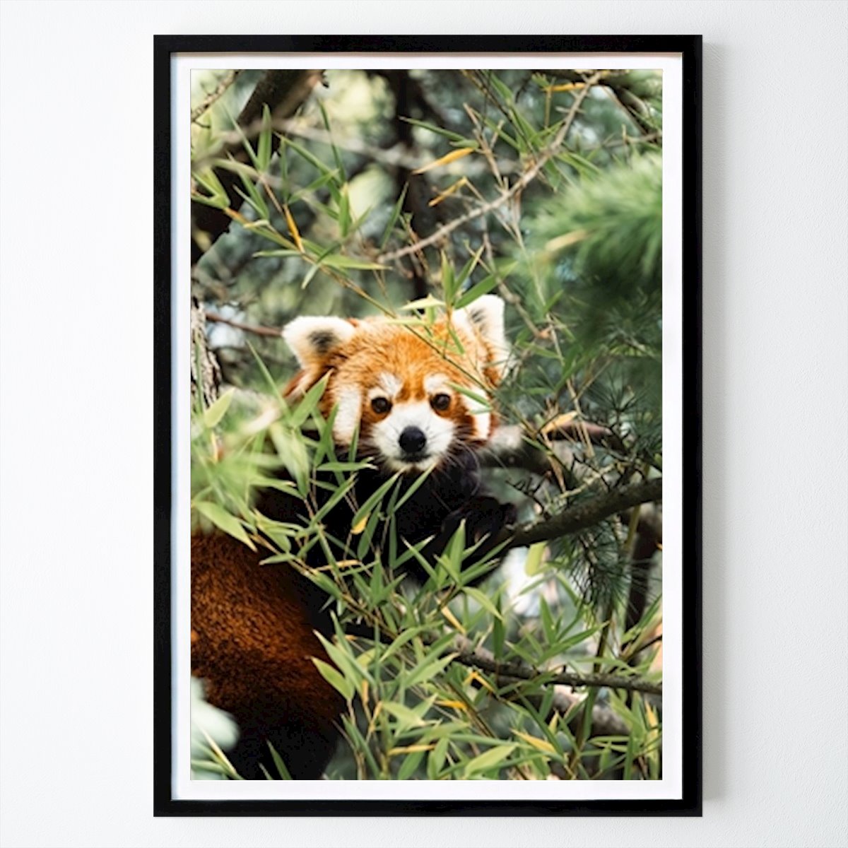 Animal Affiche: Maman, pouvons-nous en avoir un s’il vous plaît ? par Flavio Rodriguez