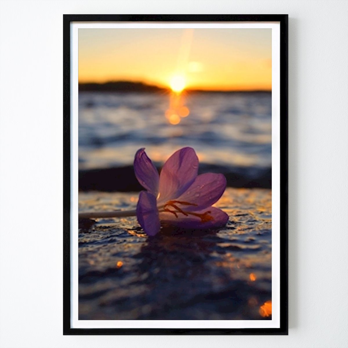 Nature Affiche: Pot cos par TJfoton