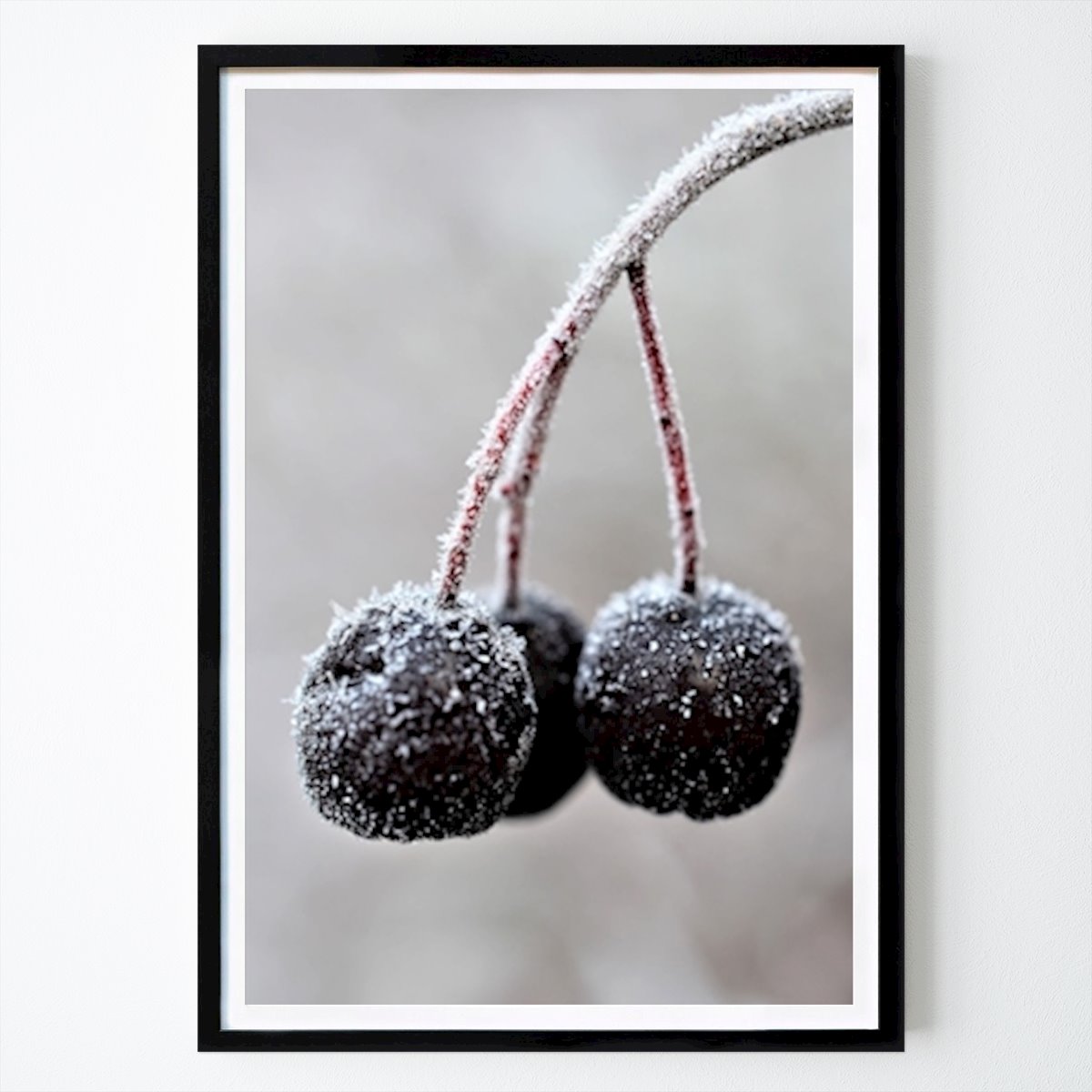 Blanco y negro Póster: Frozen Aronia berries de Lena Andersson