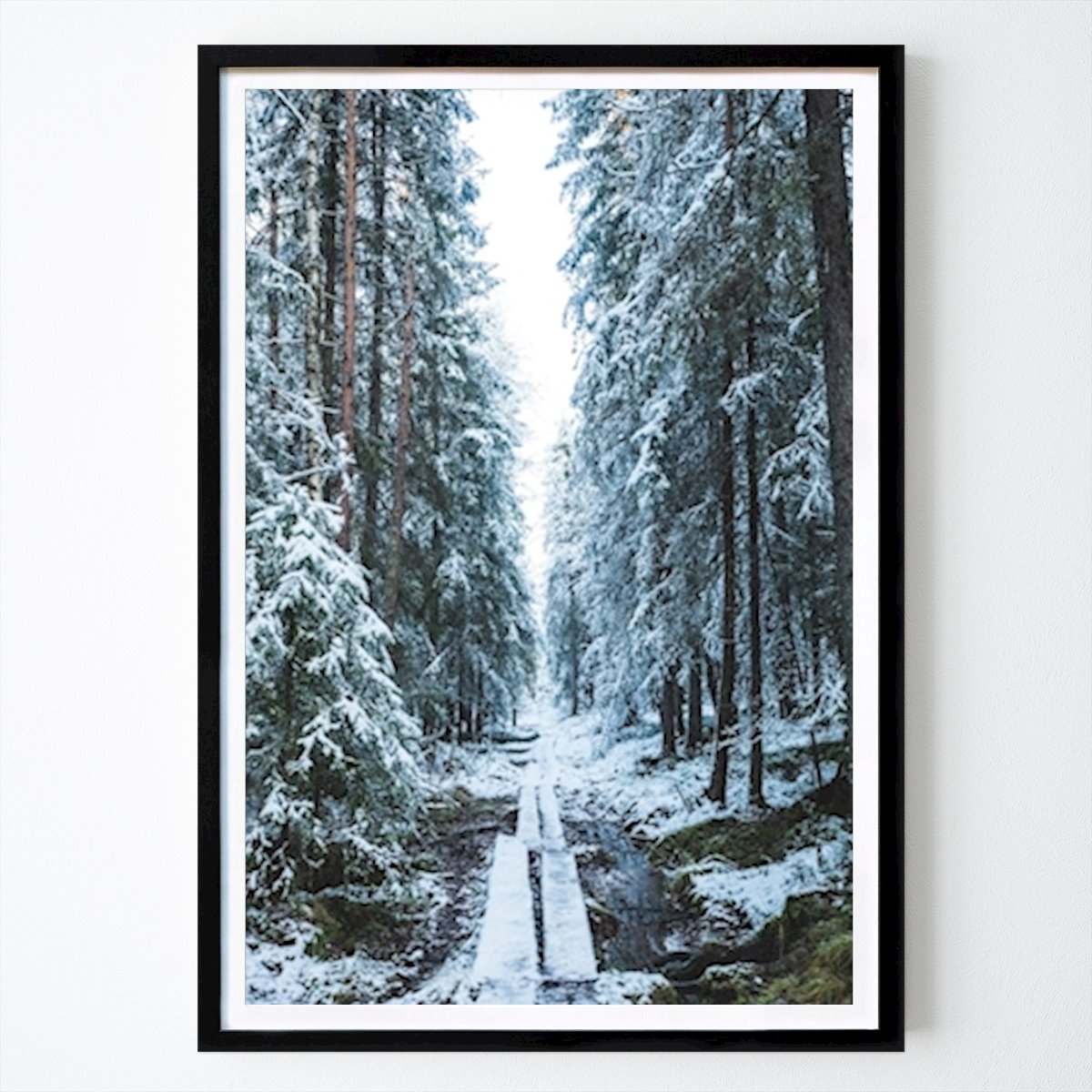 Loisirs Affiche: Chemin enneigé par Juhani Moilanen