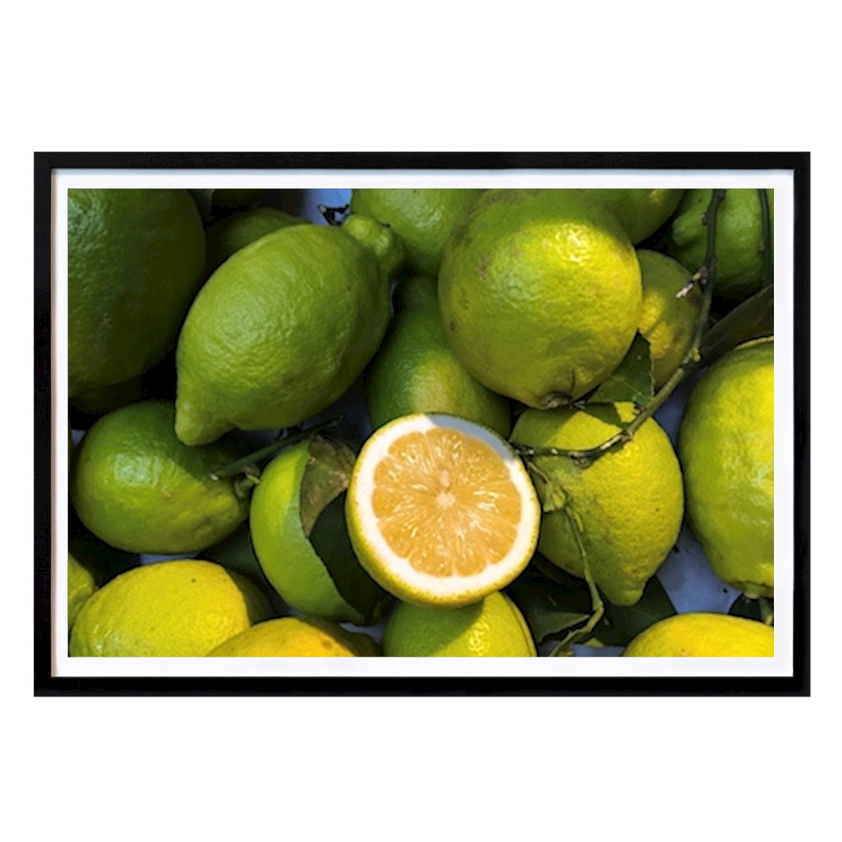 Botanisk Poster: Limoni (kalson) av Marianne Jenack