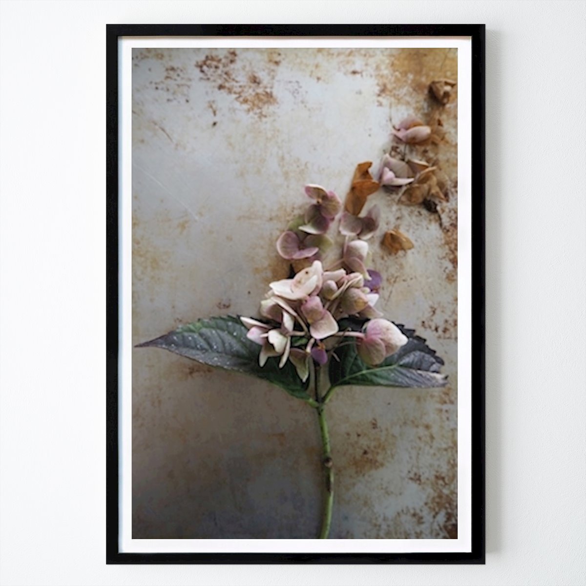 Yoga Poster: Fading beauty 3 av Milla Ek
