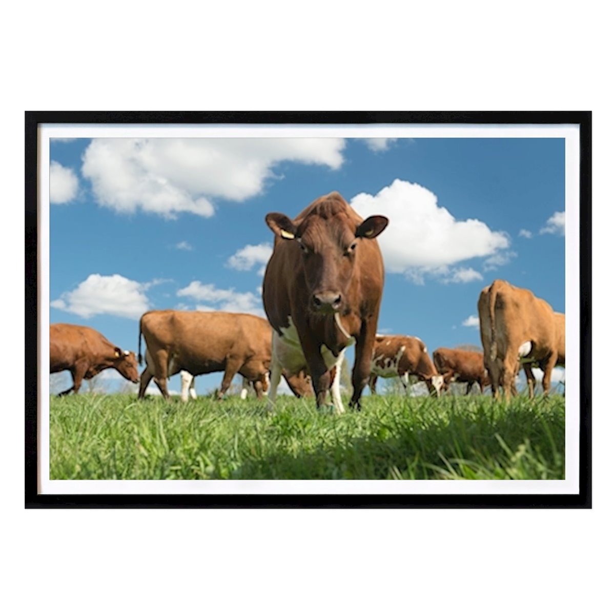 Places & Cities Poster: Georgeous Sara by Therese Eriksson