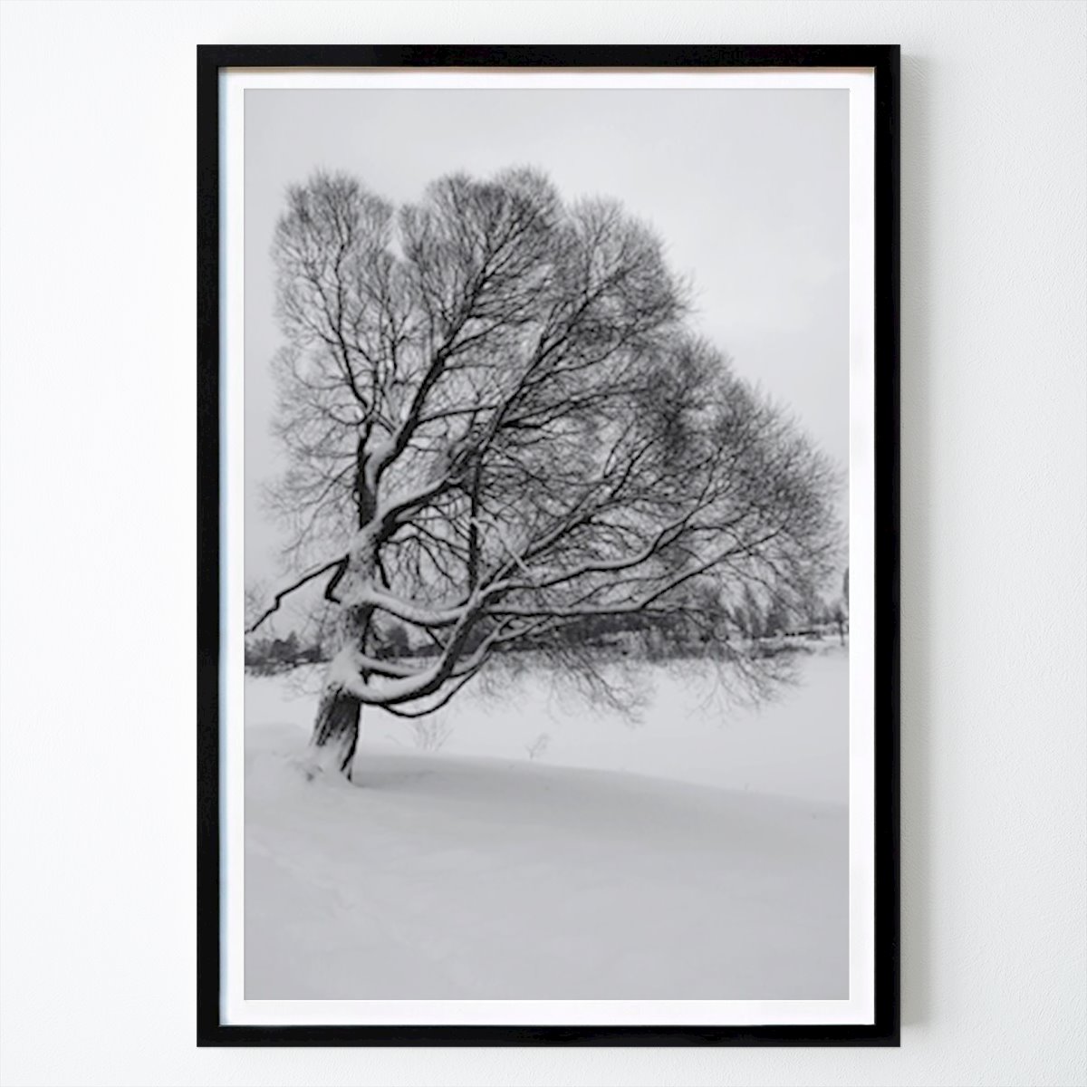 Bianco e nero Poster: Freccia solitaria di Lena Andersson