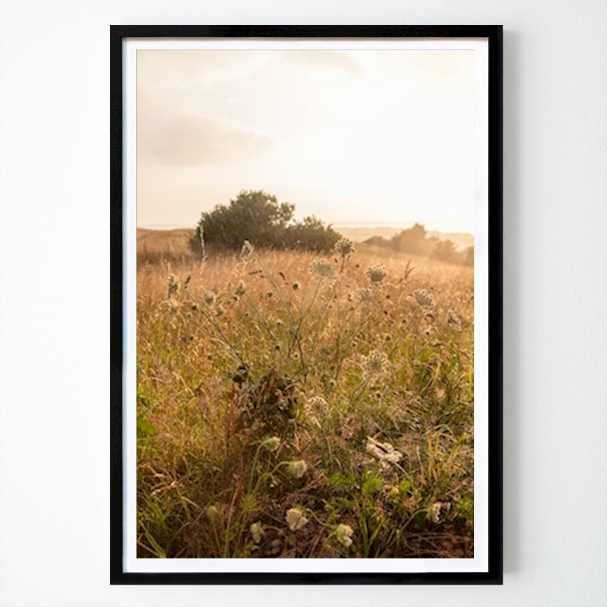 Natur Poster: Regndroppar av Martin Bay