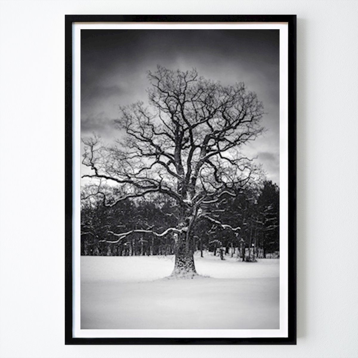 Stockholm Poster: Eik van Carl Jansson