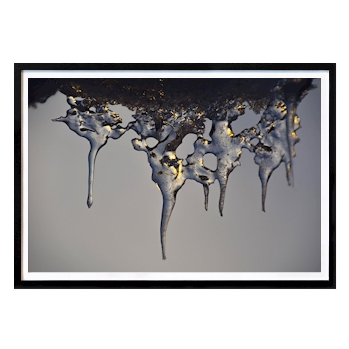 Abstrait Affiche: Espèces de la nature par Marianne Jenack