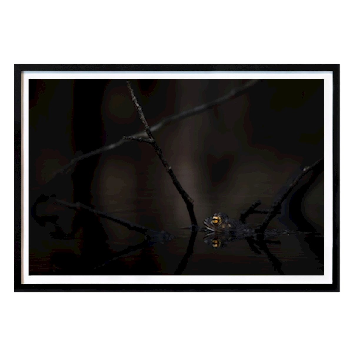 Animals Poster: by Jens Eliasson