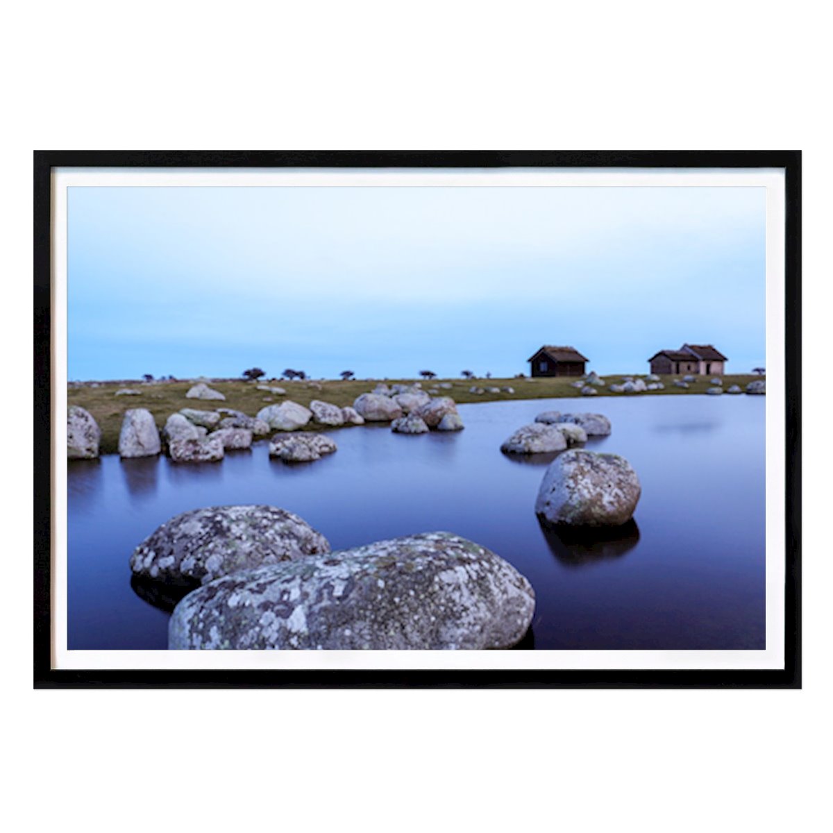 Animals Poster: Ottenby Blue Hour by Matilda Christiansson