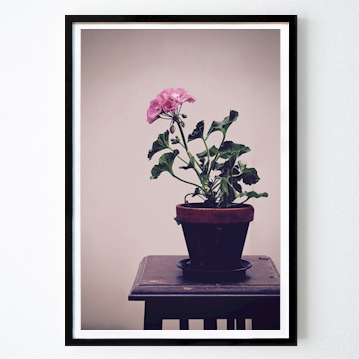 Botaniske Plakat: Geranium på pidestall av Susanne Hernqvist