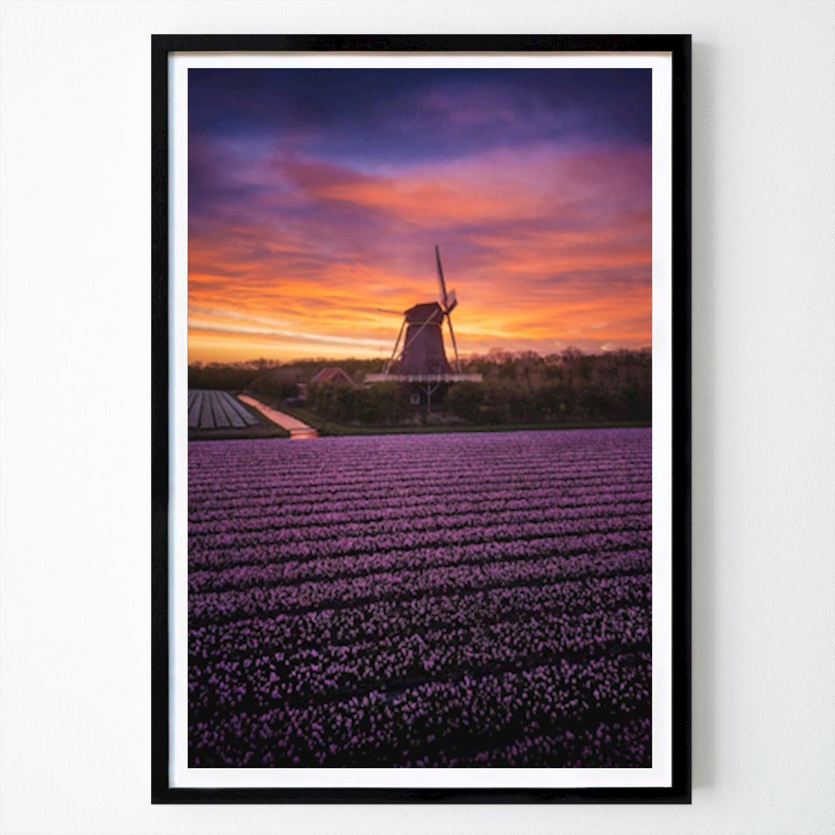 Natur Poster: Holländische Frühlingsblumen und Mühle von Yen Do