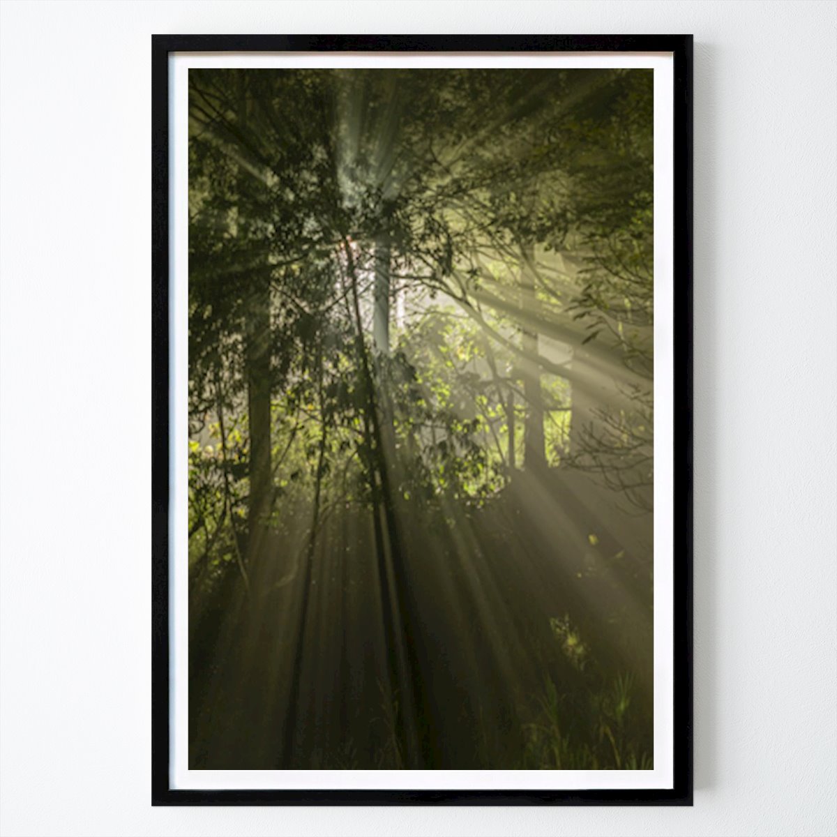 Natura Poster: Angeli di Carlos Pemberthy Alzate