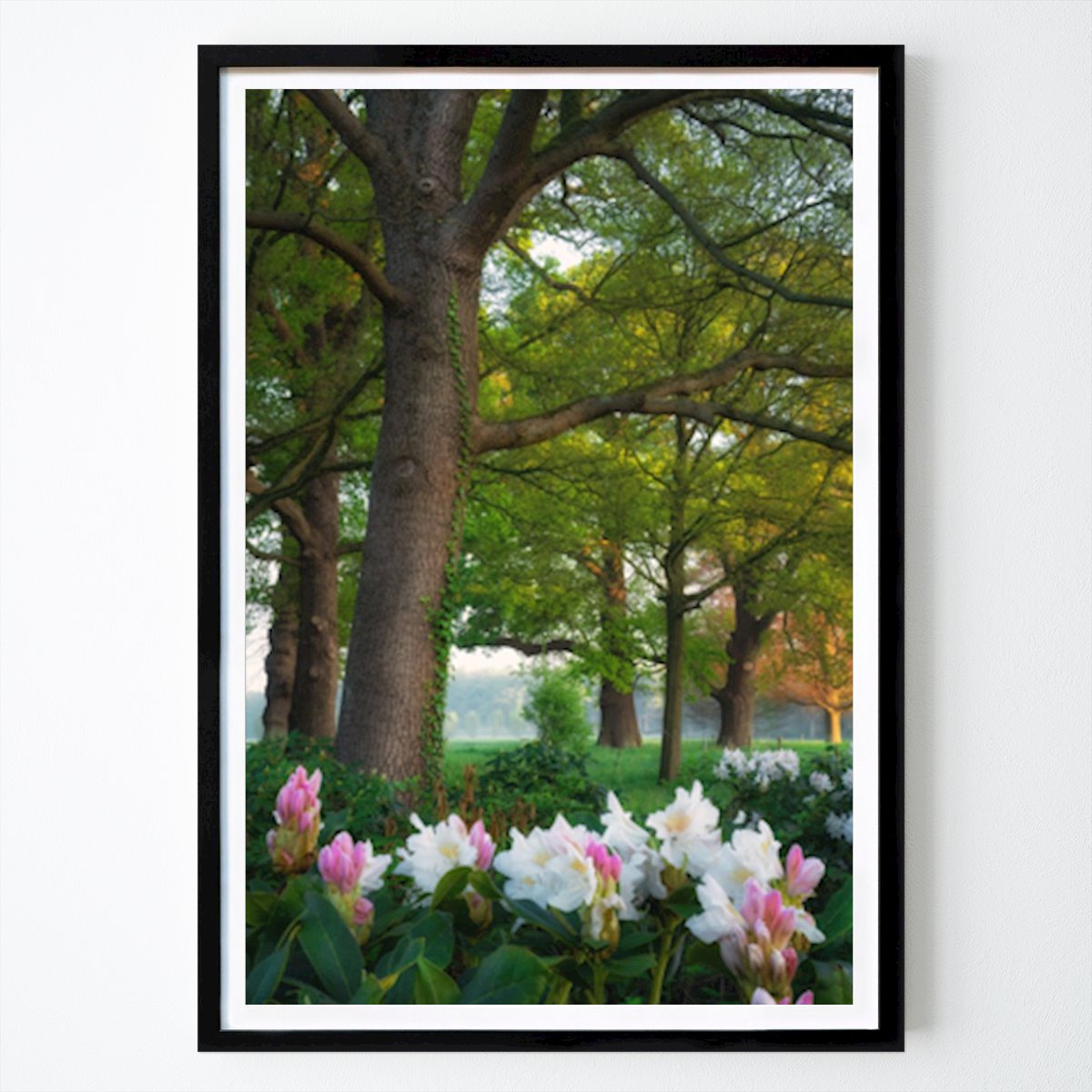 Blomster & Planter Plakat: Rhododendron i skoven av Yen Do