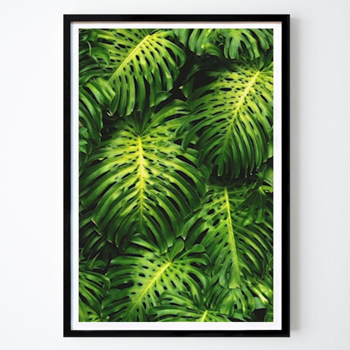 Natura Poster: Monstera di Hanna Botvidzon Rausch