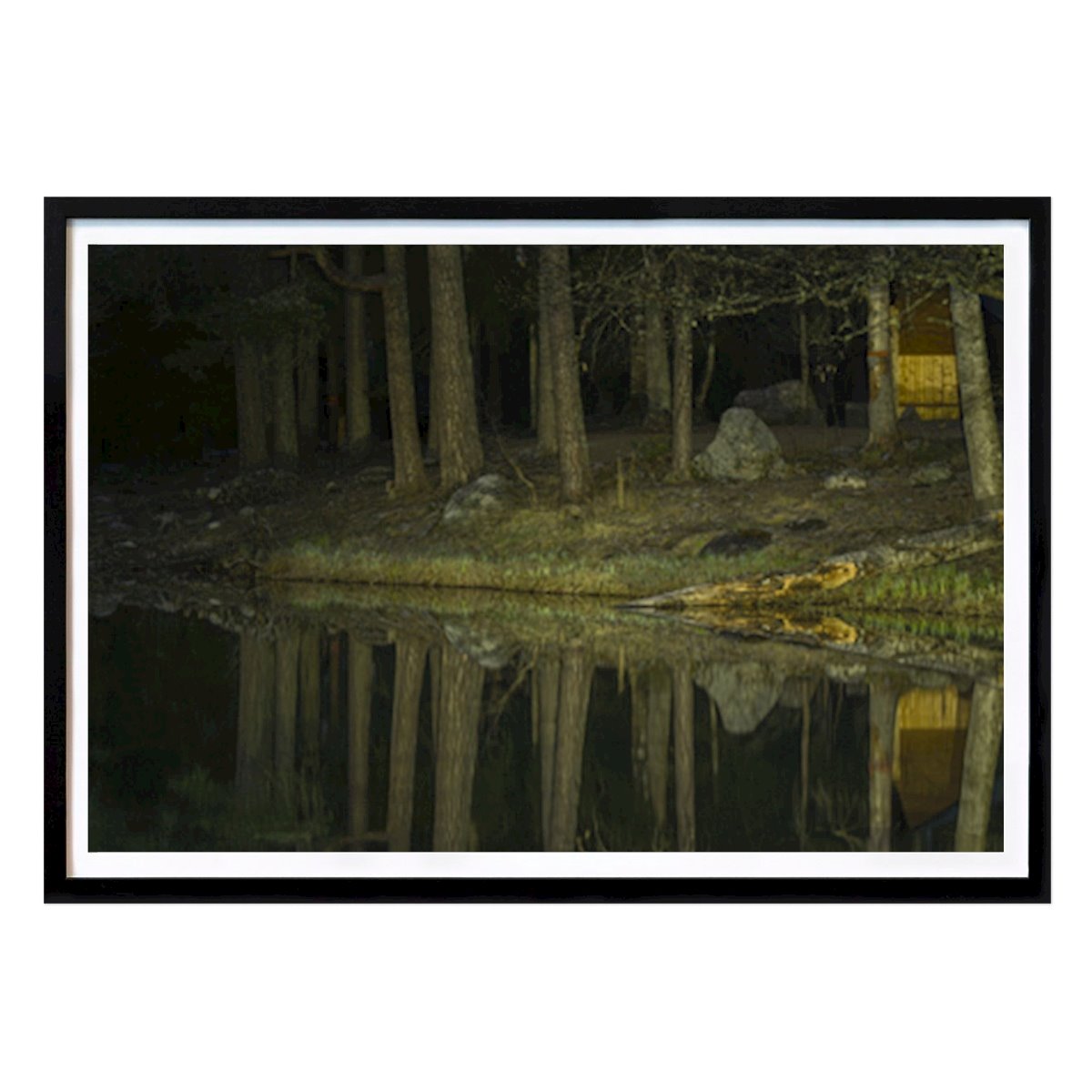 Natur Plakat: Refleksjon i mørk skog av Rasmus Amlinger
