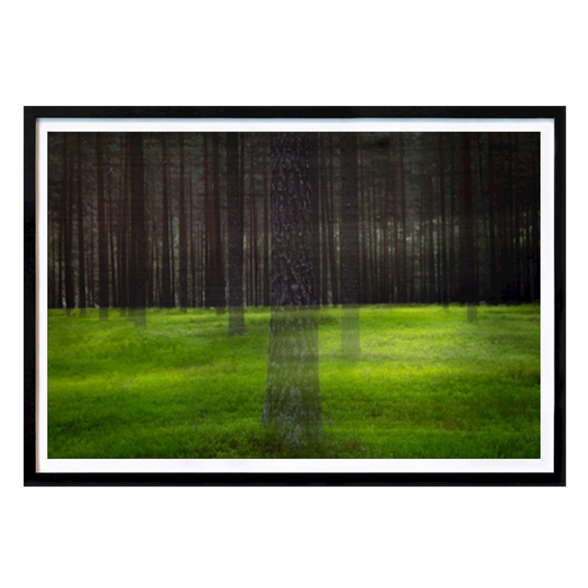 Cuisines Affiche: Arbres fantômes par Fredrik Wasland