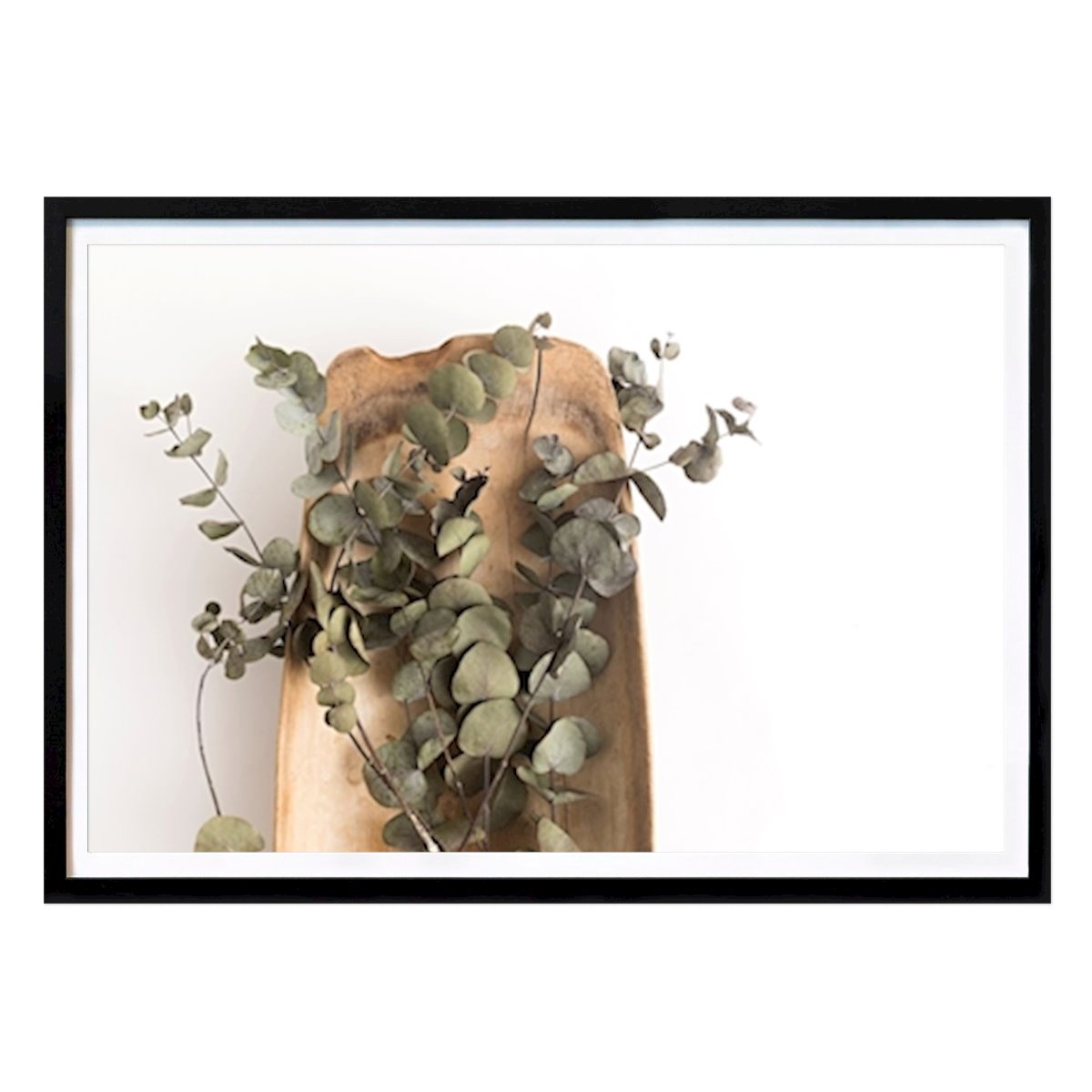 Botanical Poster: Eucalyptus by Therese Silver Sörensen