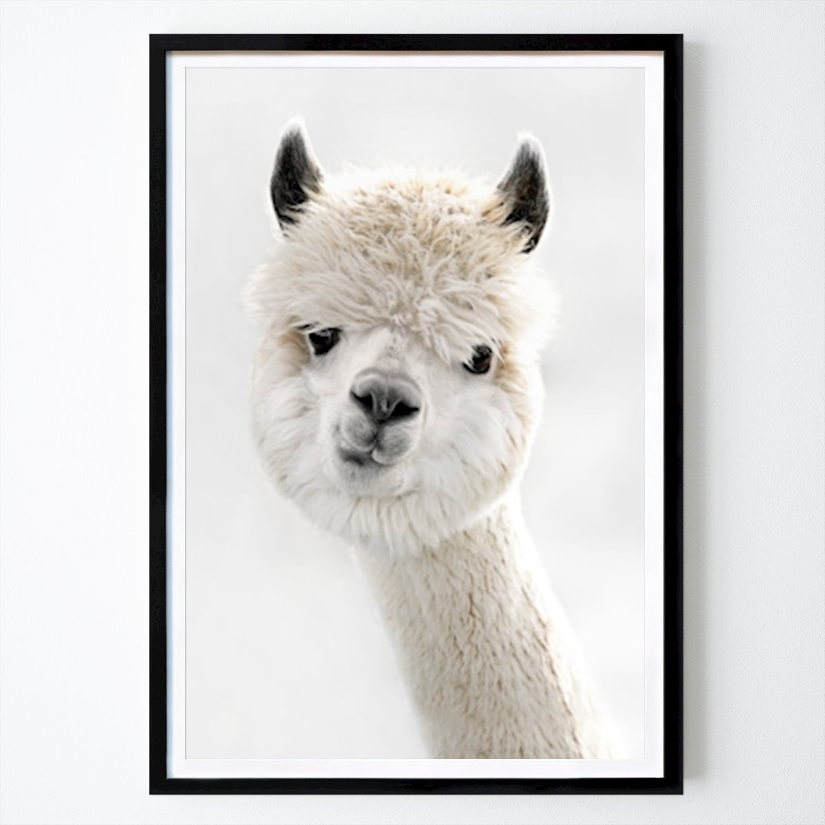 Kids Room Poster: Peeky Alpaca by Monika Strigel