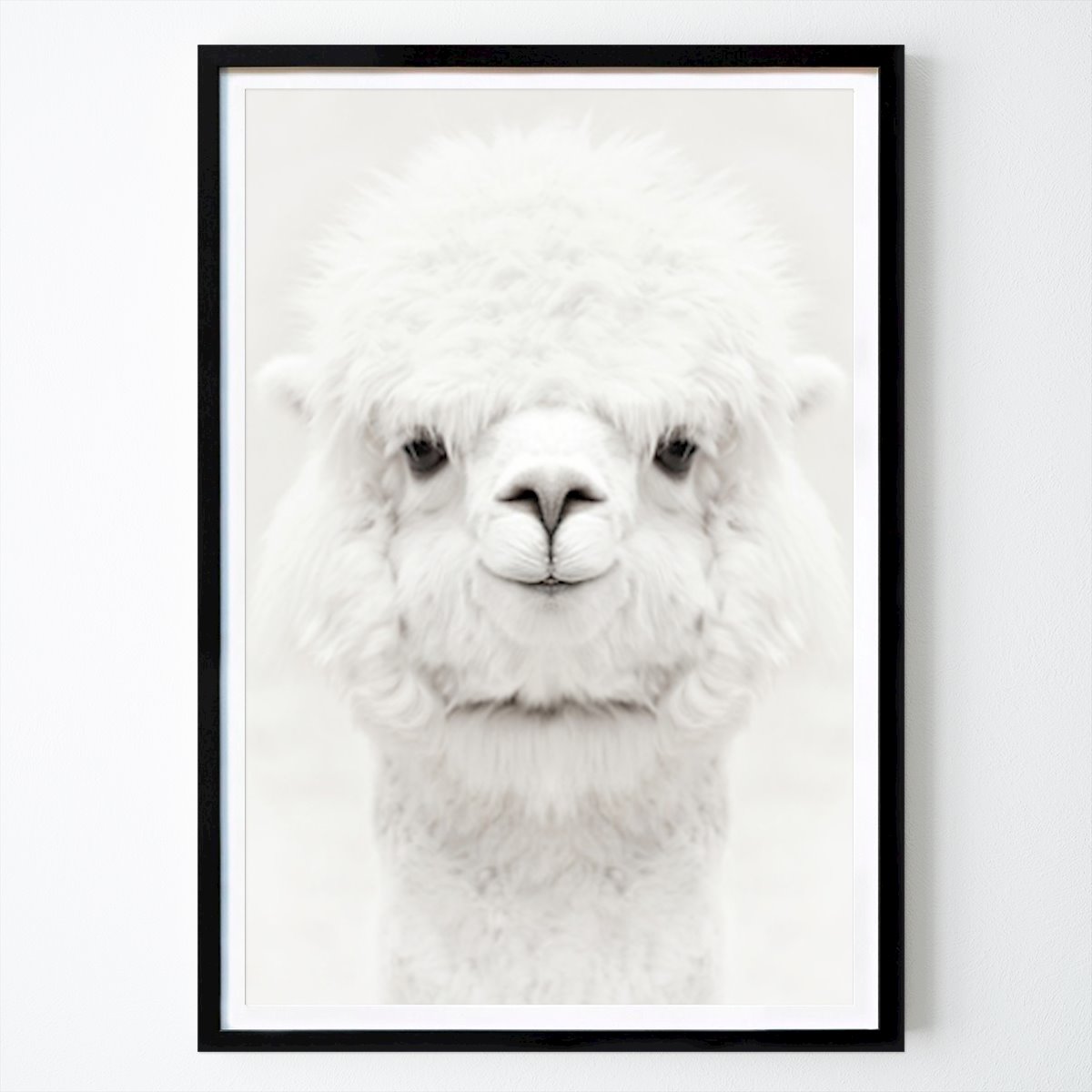 Smiling Alpaca Poster von Monika Strigel – Tier Wandbild – Printler