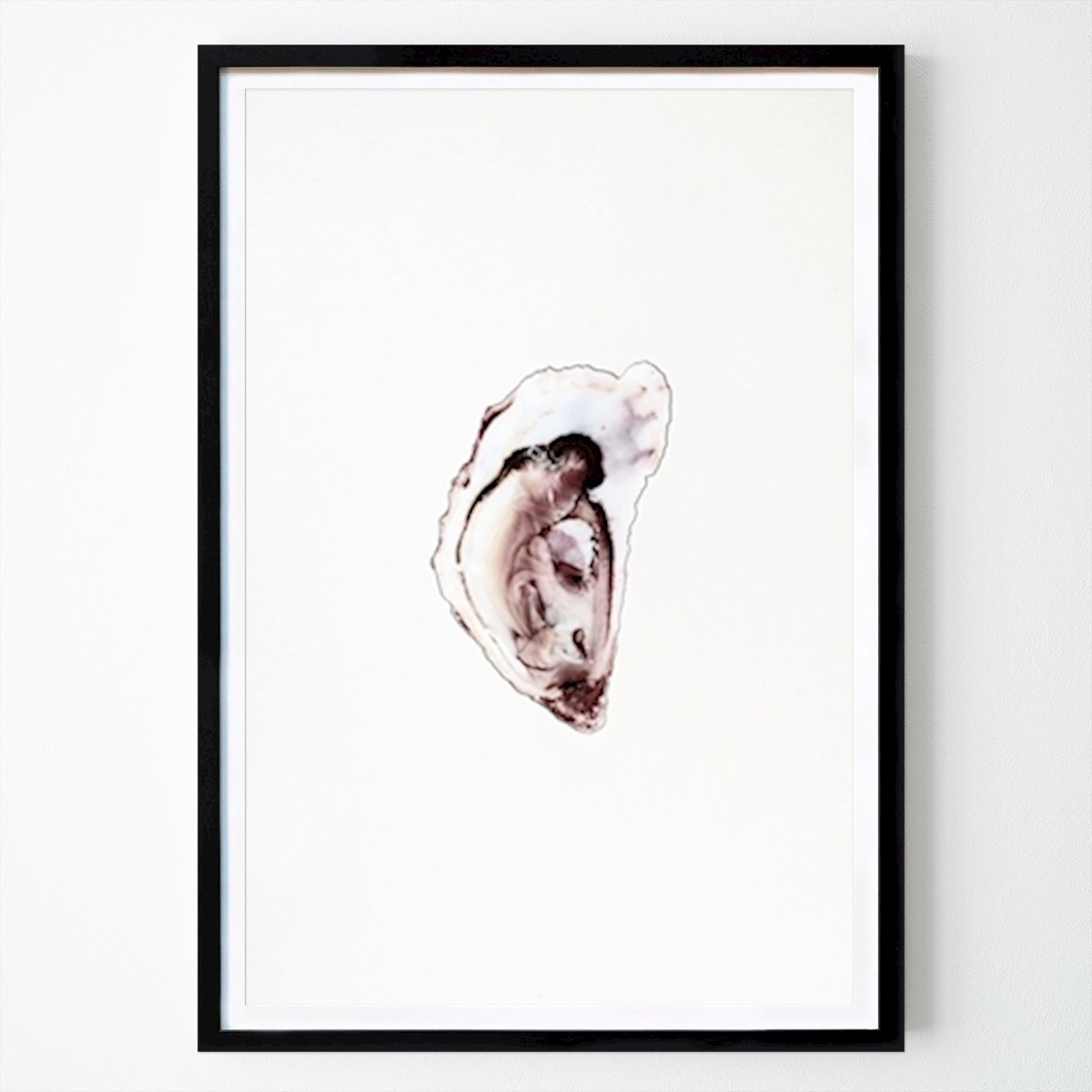 Kitchen Poster: Oyster collection part one by Nicola Hood