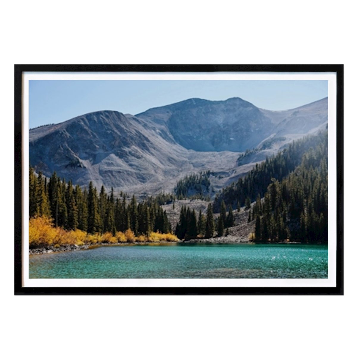 Przyroda Plakat: Turquoise Lake and Dense Forest autorstwa Del Mundo Imagery
