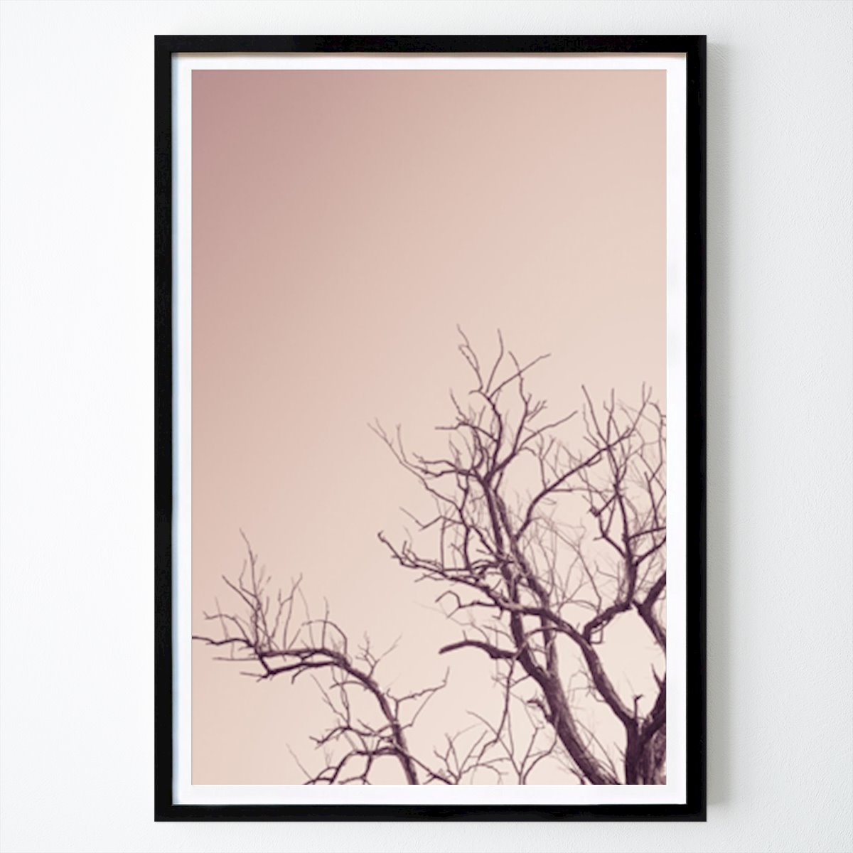 Italy Poster: Winter Tree And A Pink Sky by Photolovers