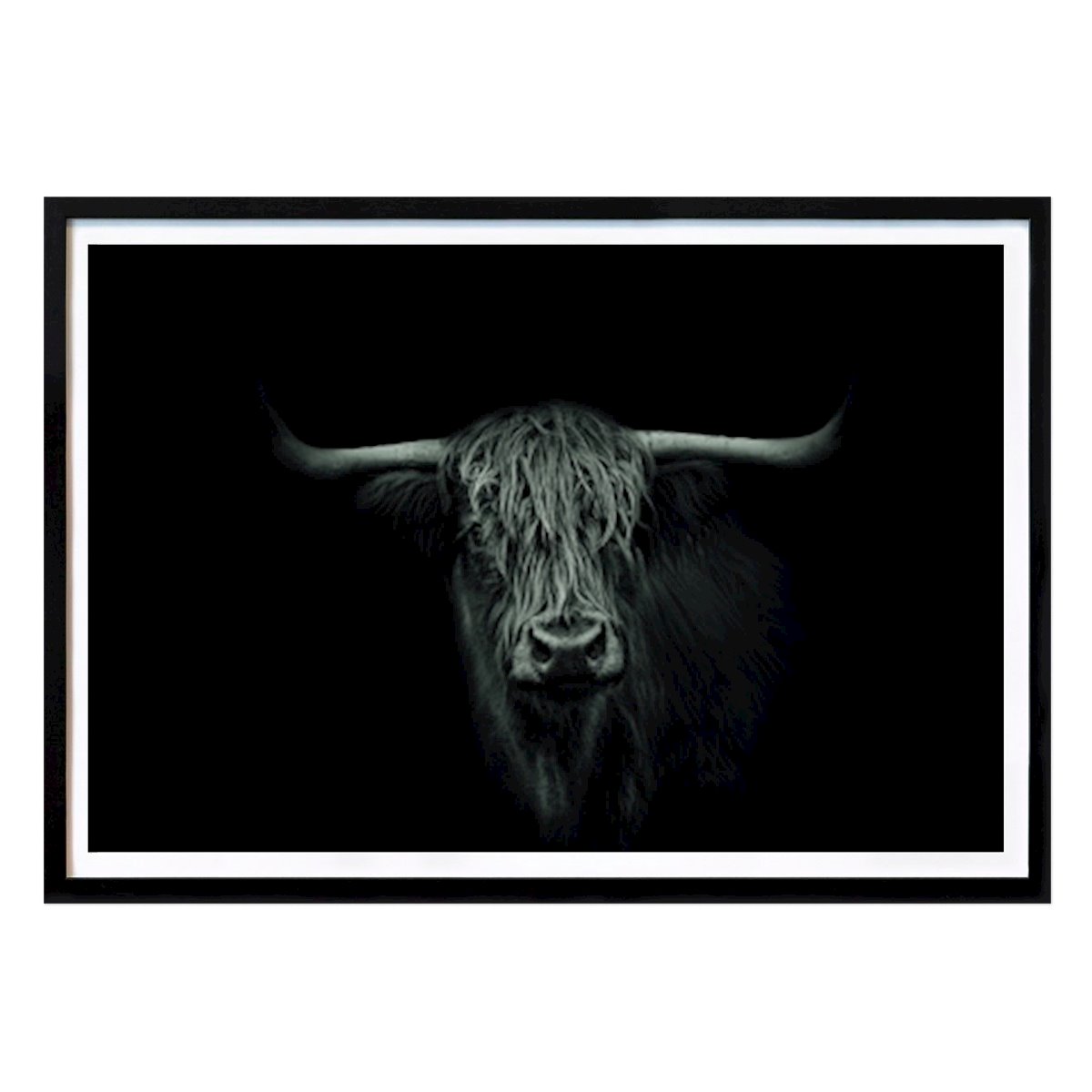Places & Cities Poster: Highland Cattle by Michael Mandsfeld