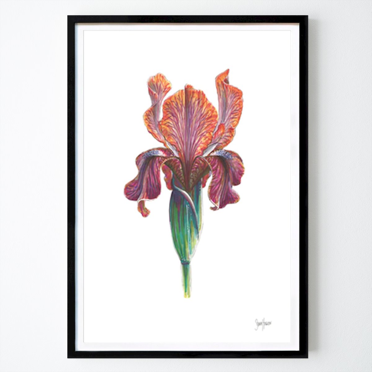 Flores & Plantas Póster: Iris de Stina Huglen