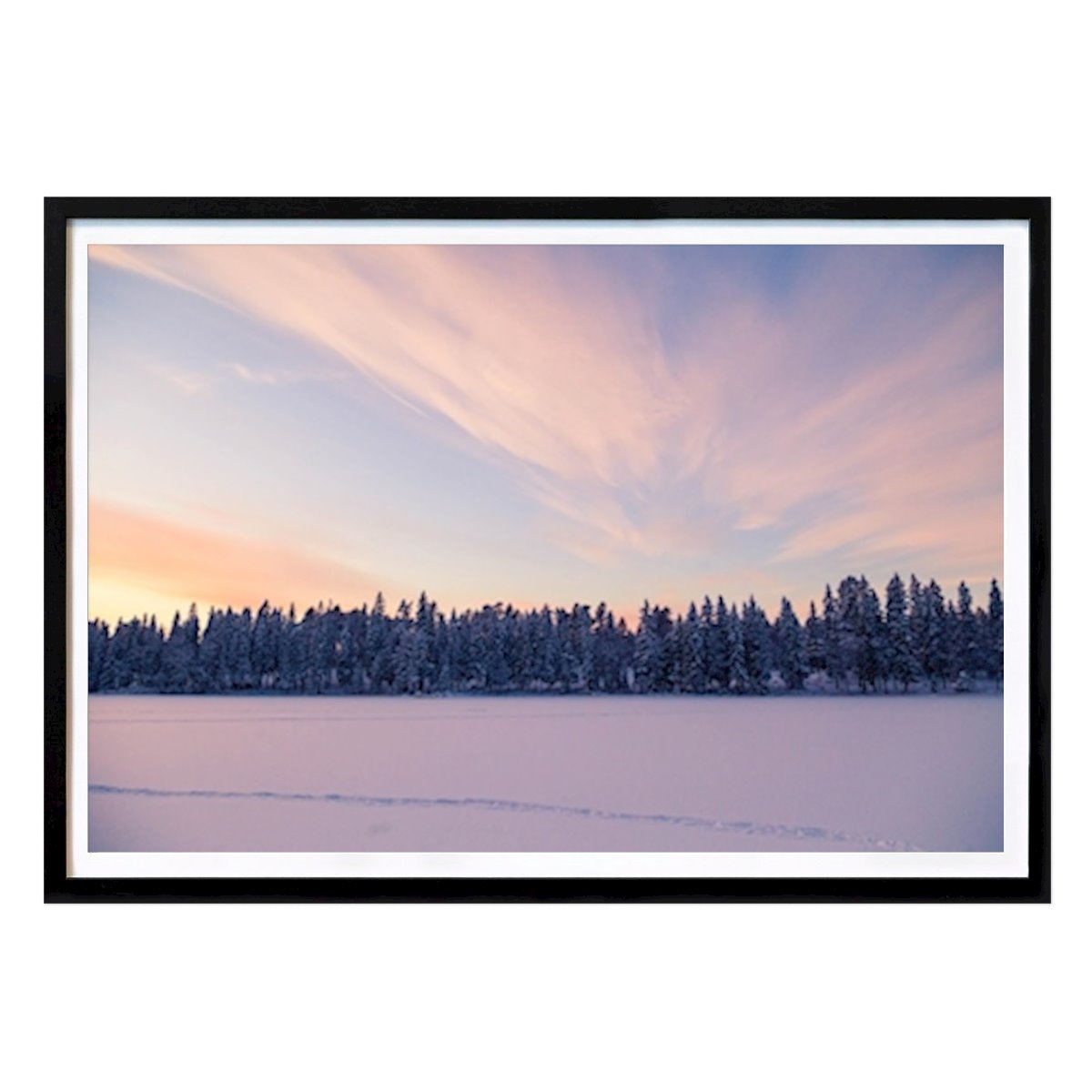 Nature Poster: Biting cold by Johan Hällgren