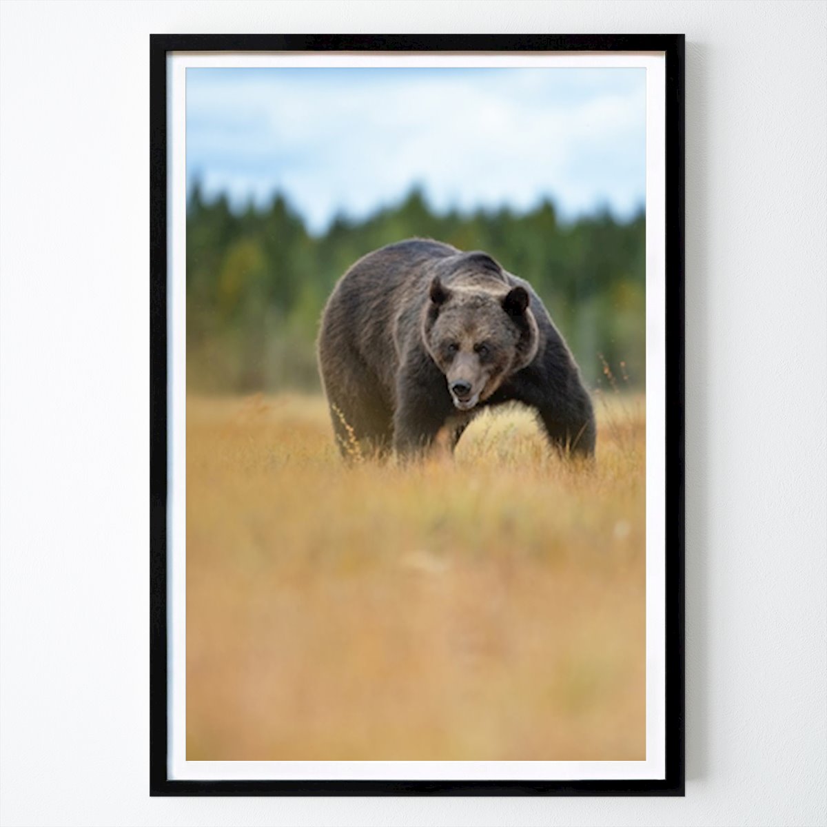 Tier Poster: Majestätischer Braunbär: Das Kraftpaket der Natur in freier Wildbahn von Fredrik Lindbom
