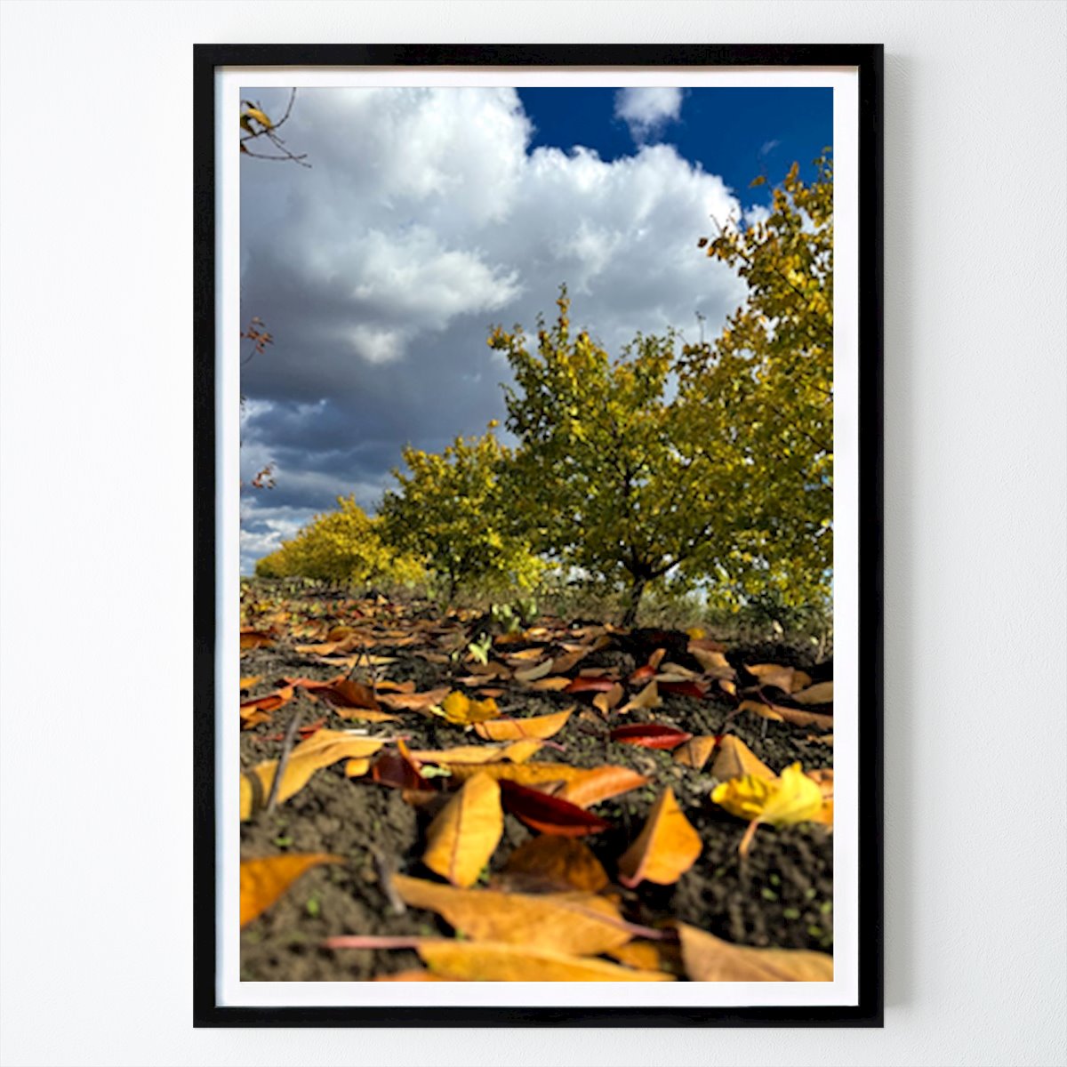 Naturaleza Póster: Entre la Tierra y el Cielo de Maria Cusnir