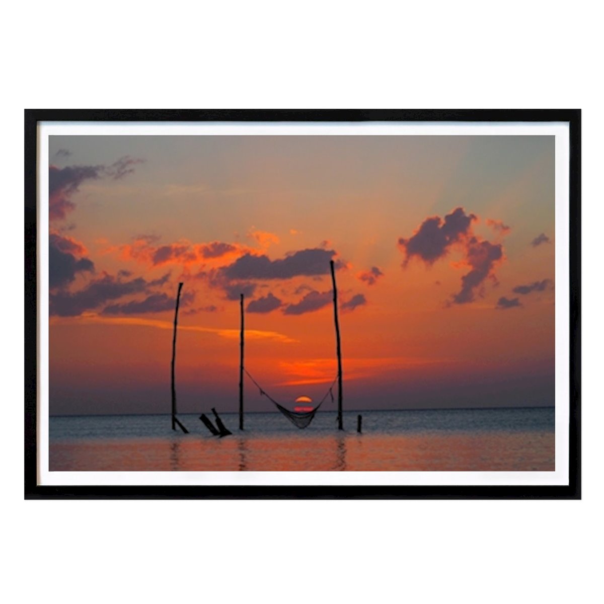 Natur Poster: Sonnenliege von Mala Labeyrie